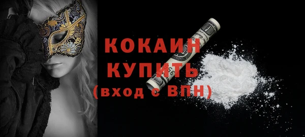 дживик Абинск
