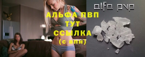 прущие грибы Абдулино
