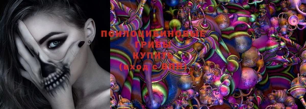 дживик Абинск