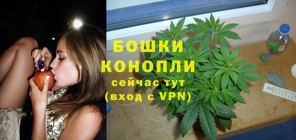 прущие грибы Абдулино
