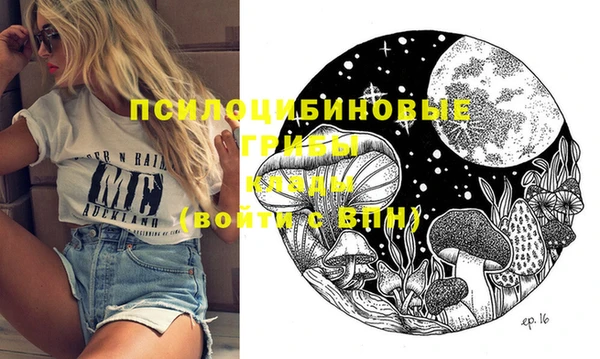 дживик Абинск